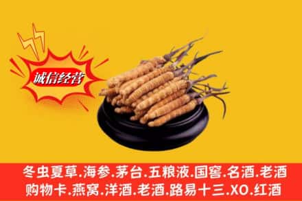 郓城县求购回收虫草多少钱每克